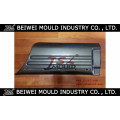 OEM Custom Plastic Auto Door Garnish Mould